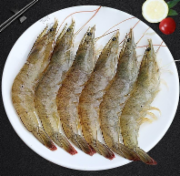 活虾