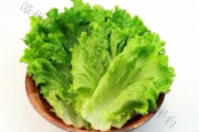 生菜