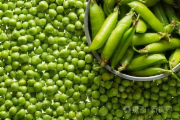 青豆仁（斤）