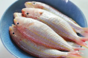 金线鱼