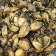 鲜海蛎干