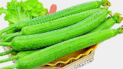 丝瓜（菜瓜）