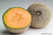 哈密瓜