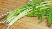 芹菜