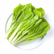木耳菜