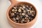 珍珠菇