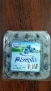 蓝莓
