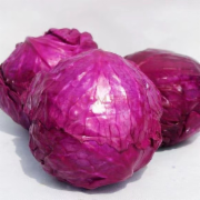紫包菜
