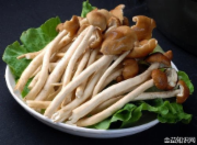 鲜茶树菇