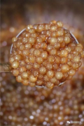 莲子圆