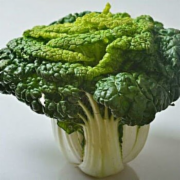 黄心菜