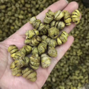 石合1#（斛）