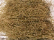 豆花粉丝
