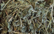 灵草