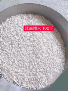 越南糯米100斤（大粒）