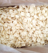 蝴蝶面（白色）*5kg