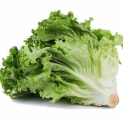 生菜