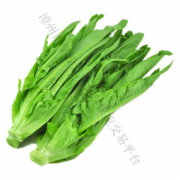 油麦菜