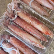鲜鱿鱼