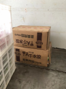 海霸王甲天下韭菜味水饺