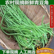 长豆