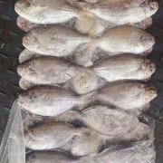 二去肉鱼10kg