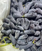 美人指无籽葡萄