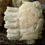 竹荪（克）