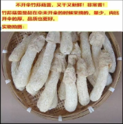 竹荪（精挑带菇帽无硫）