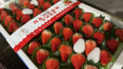 丹东99牛奶草莓