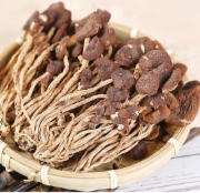 茶树菇干（克）
