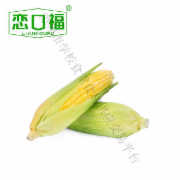 带壳甜玉米 500g