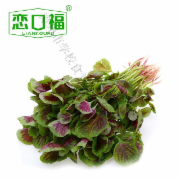 红苋菜 500g